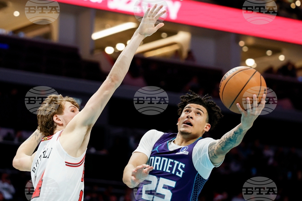 Bulls Hornets Basketball