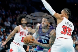Bulls Hornets Basketball