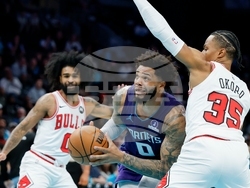 Bulls Hornets Basketball