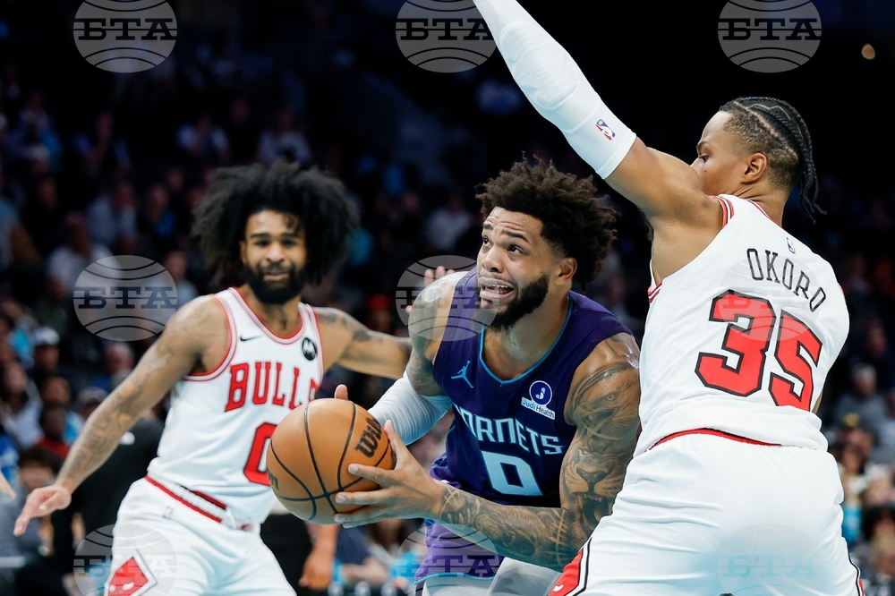 Bulls Hornets Basketball