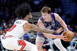 Bulls Hornets Basketball