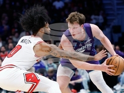 Bulls Hornets Basketball