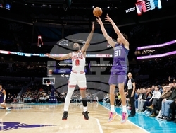 Bulls Hornets Basketball