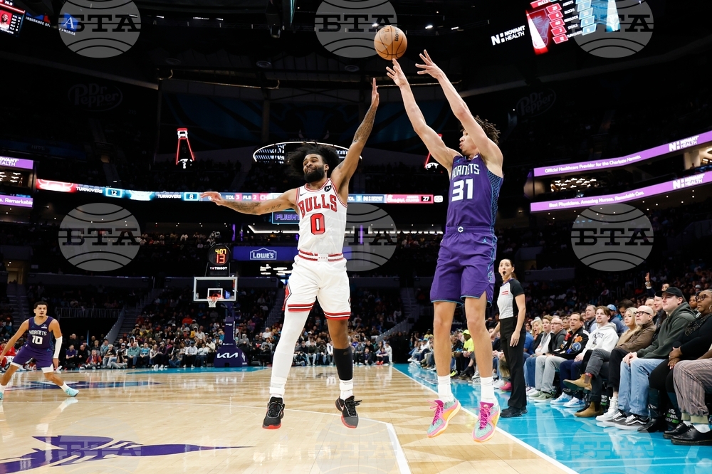 Bulls Hornets Basketball