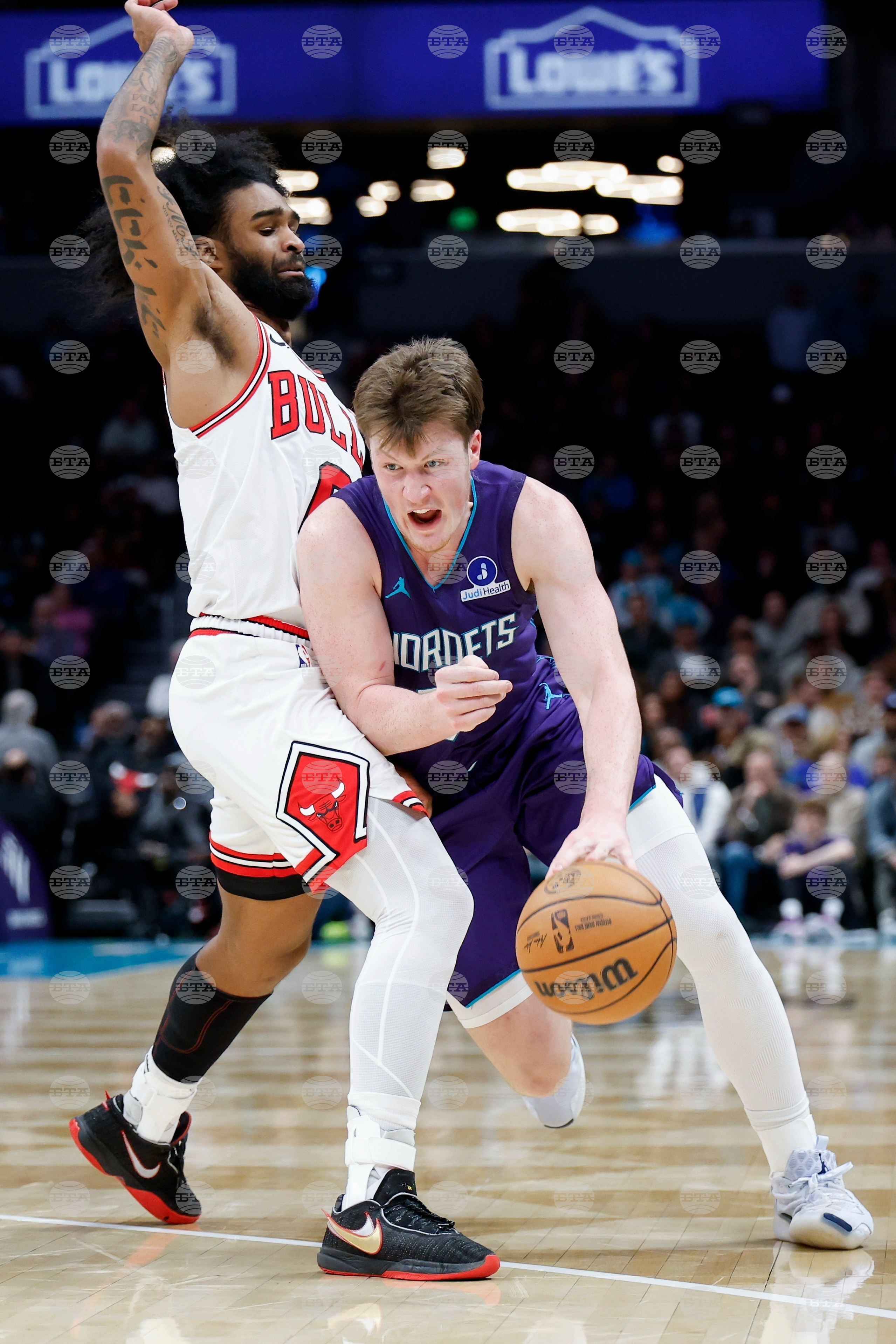 Bulls Hornets Basketball