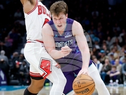 Bulls Hornets Basketball