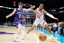 Bulls Hornets Basketball