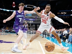 Bulls Hornets Basketball