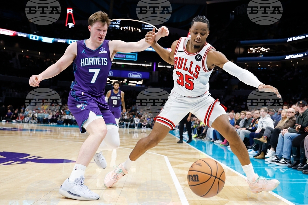 Bulls Hornets Basketball