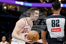 Bulls Hornets Basketball