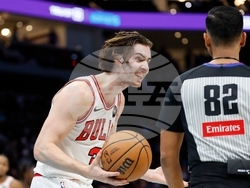 Bulls Hornets Basketball