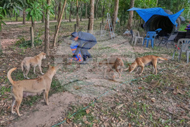 Thailand Village Guards