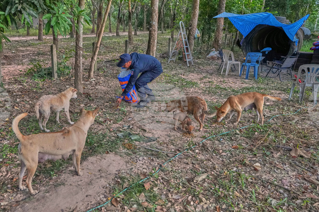 Thailand Village Guards