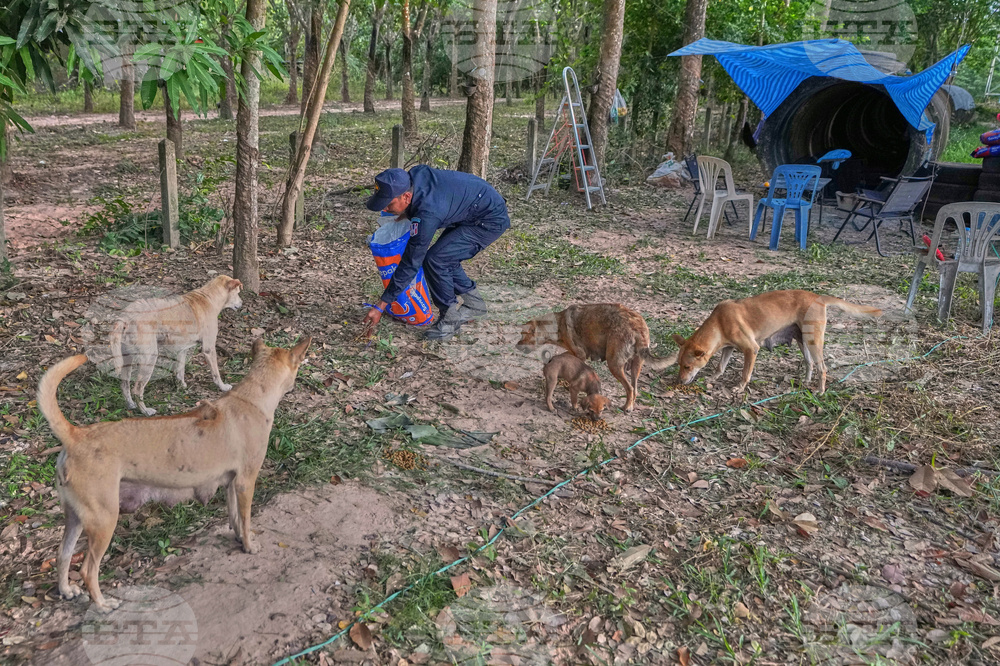 Thailand Village Guards