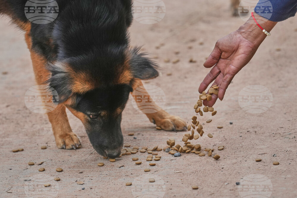 Thailand Village Guards