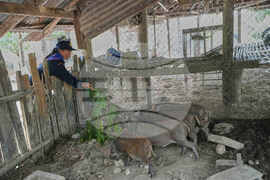 Thailand Village Guards