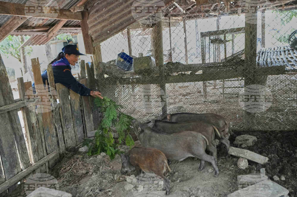 Thailand Village Guards