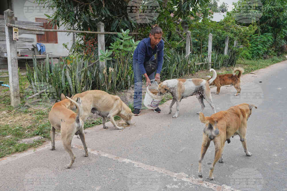 Thailand Village Guards