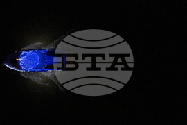 Oregon Daily Life Holiday Lights