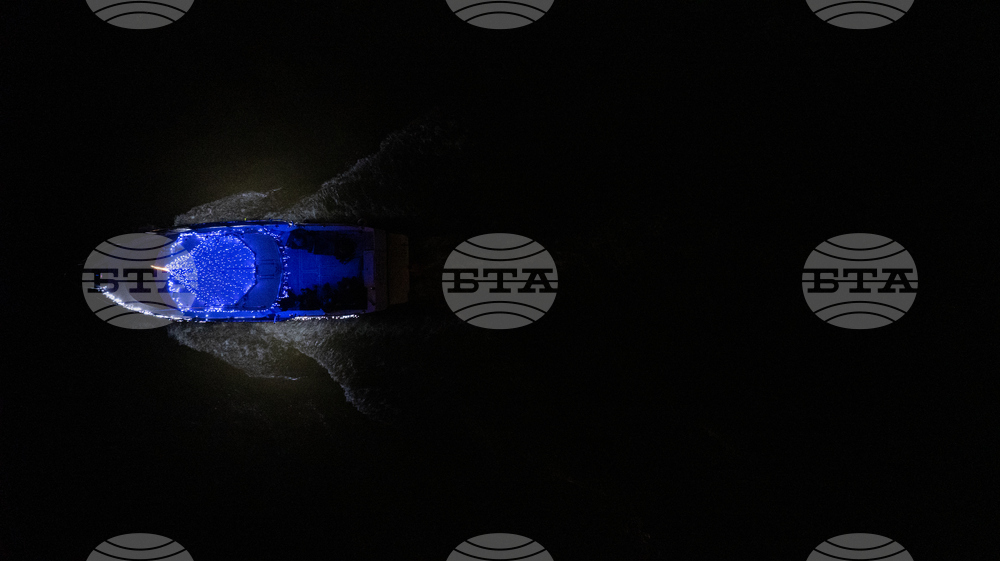 Oregon Daily Life Holiday Lights