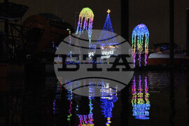 Oregon Daily Life Holiday Lights