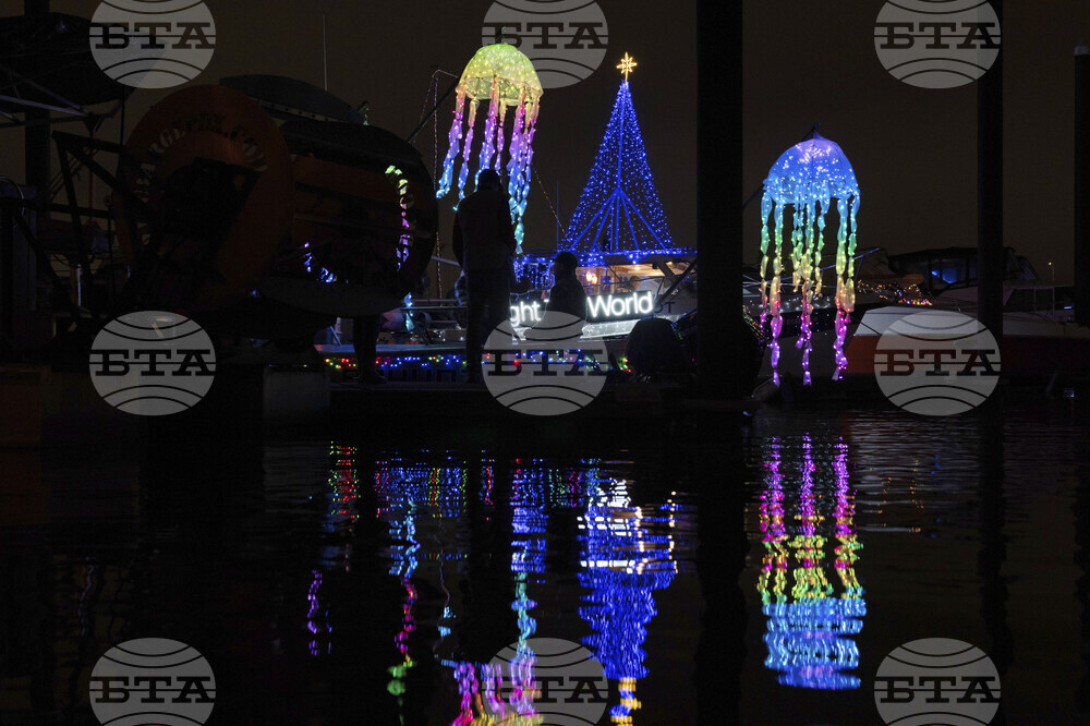 Oregon Daily Life Holiday Lights