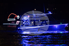 Oregon Daily Life Holiday Lights