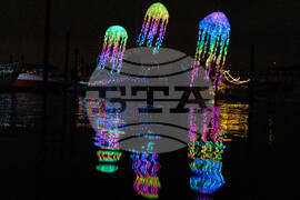 Oregon Daily Life Holiday Lights