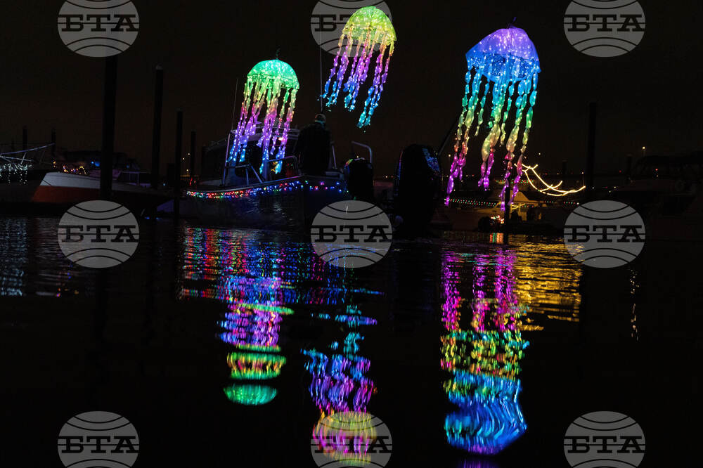 Oregon Daily Life Holiday Lights