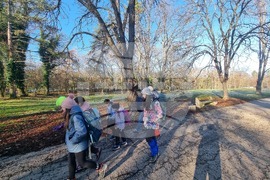 Плевен - деца - приключенски лагер