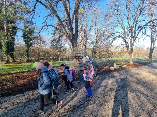 Плевен - деца - приключенски лагер