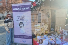 Плевен – благотворителен базар – фондация „Искам бебе“