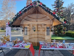 Плевен – благотворителен базар – фондация „Искам бебе“