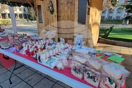 Плевен – благотворителен базар – фондация „Искам бебе“