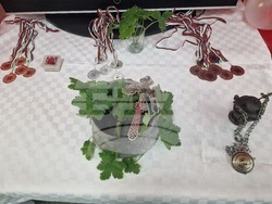 Разград - тенис на маса - турнир