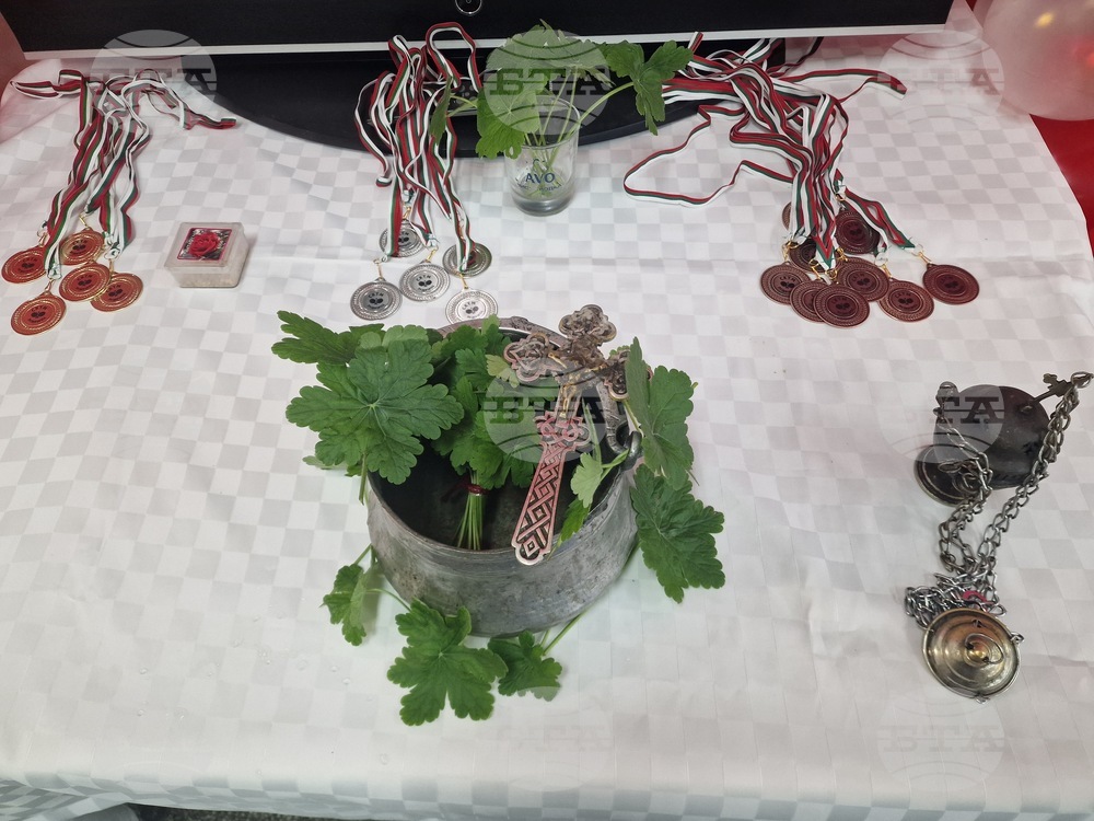 Разград - тенис на маса - турнир