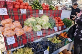 Ямбол - фермерско-занаятчийско изложение