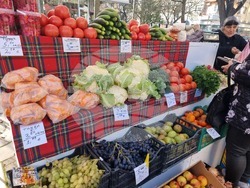 Ямбол - фермерско-занаятчийско изложение