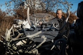 Climate Alaska Hunting Photo Gallery