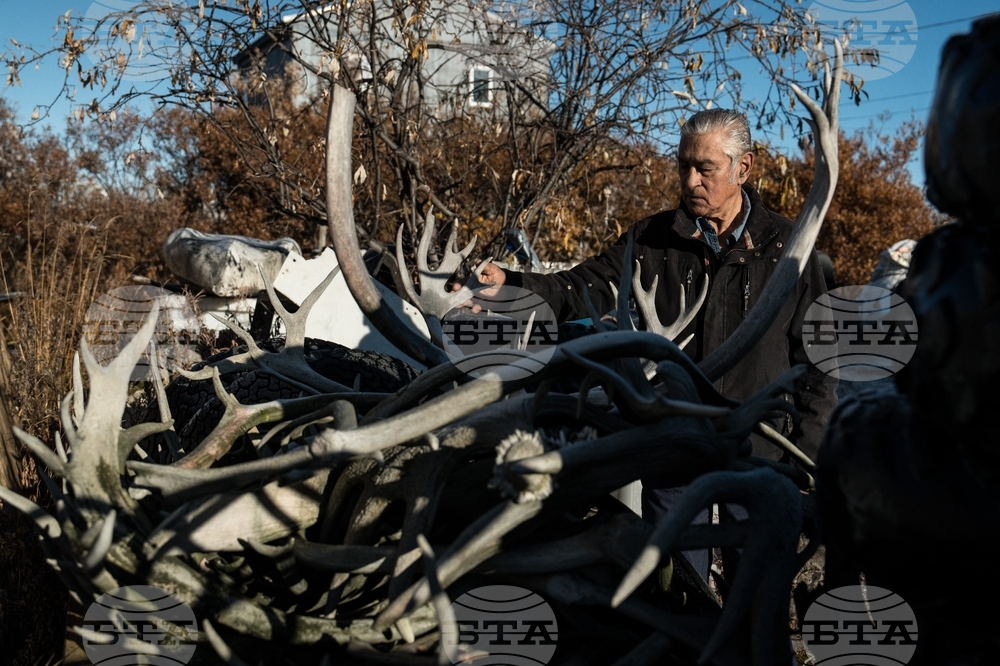 Climate Alaska Hunting Photo Gallery