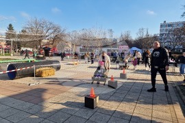 Разград - семейни игри - Коледа