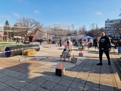 Разград - семейни игри - Коледа