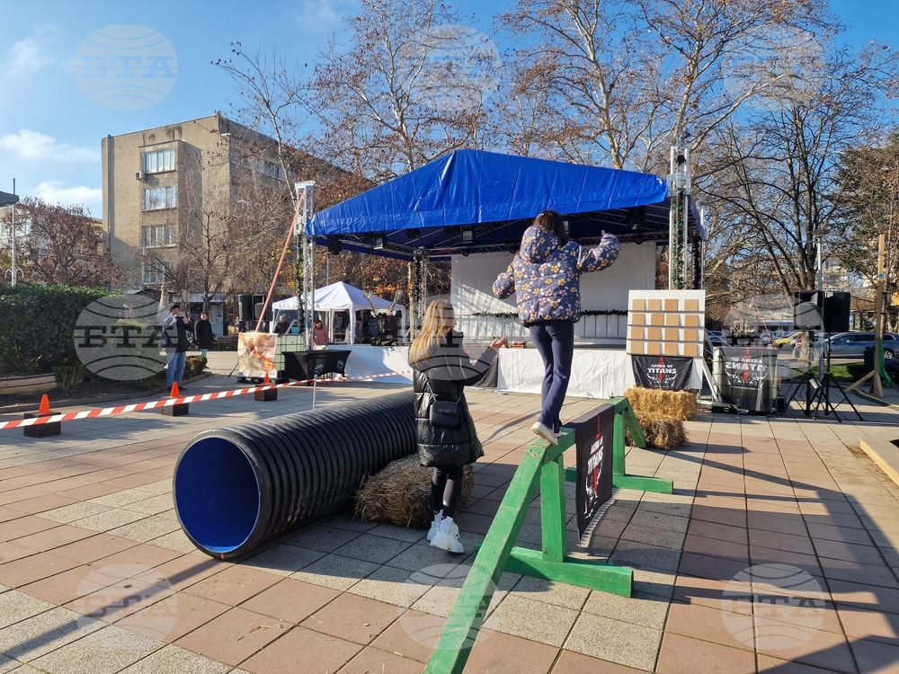 Разград - семейни игри - Коледа