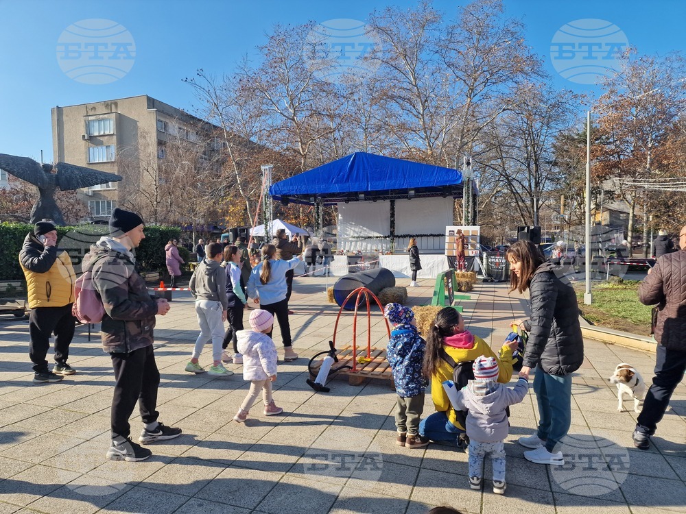 Разград - семейни игри - Коледа