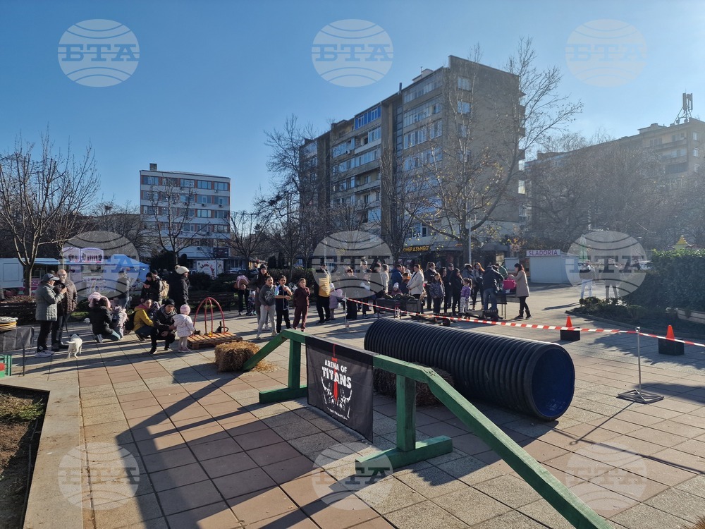 Разград - семейни игри - Коледа