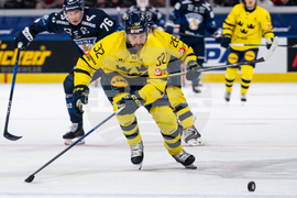 Sweden Euro Hockey Tour