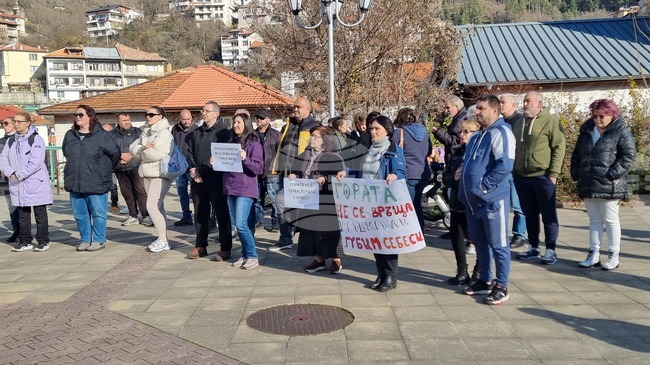 Жители на Смолян протестират срещу изграждането на фотоволтаична централа, заради която се изсичат дървета