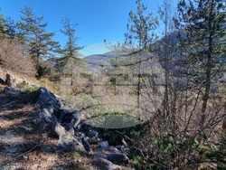 Смолян - изсичане на дървета - протест