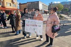 Смолян - изсичане на дървета - протест