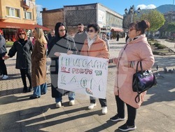 Смолян - изсичане на дървета - протест